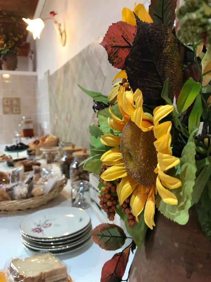 B&B Red Village Chieti Zewnętrze zdjęcie